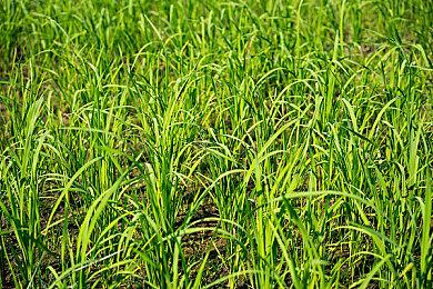 《古墓丽影：暗影》PS5获更新 增加4K＆60FPS支持